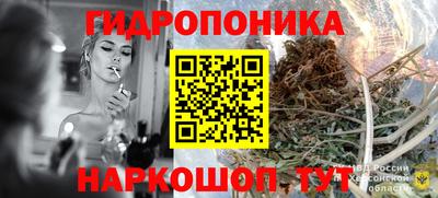 мдпв Заволжье